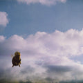Pond — Stung!, vinyl LP album cover