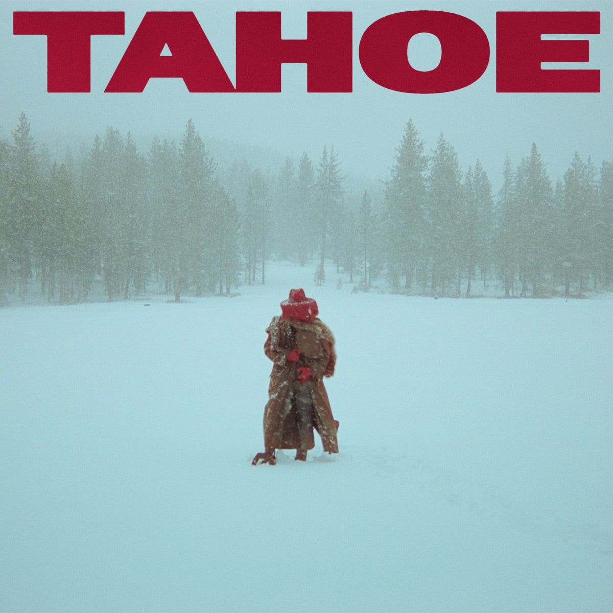 Red Leather — TAHOE, vinyl LP album cover