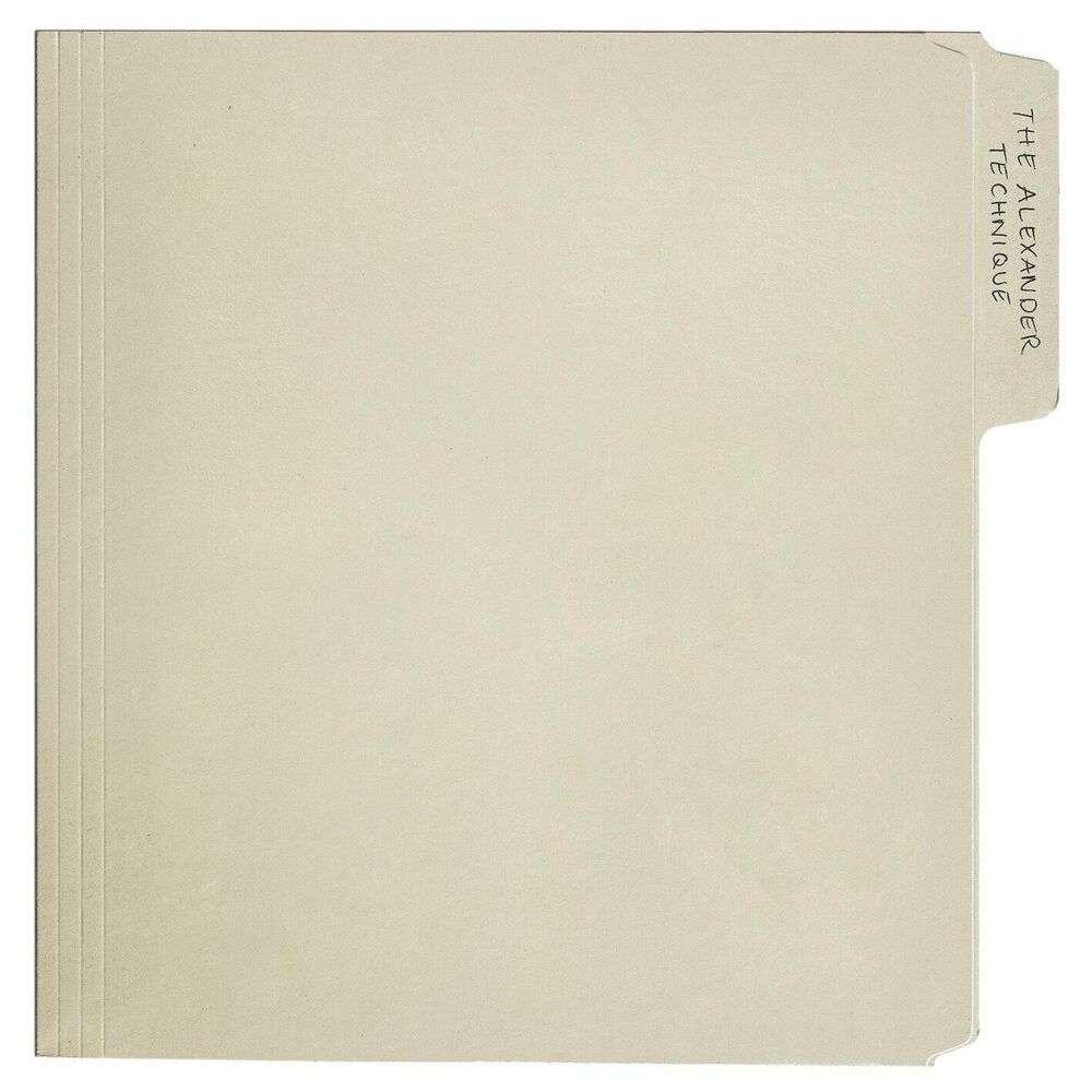Rex Orange County — The Alexander Technique, vinyl LP album cover