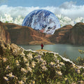 River Whyless — Monoflora, vinyl LP album cover
