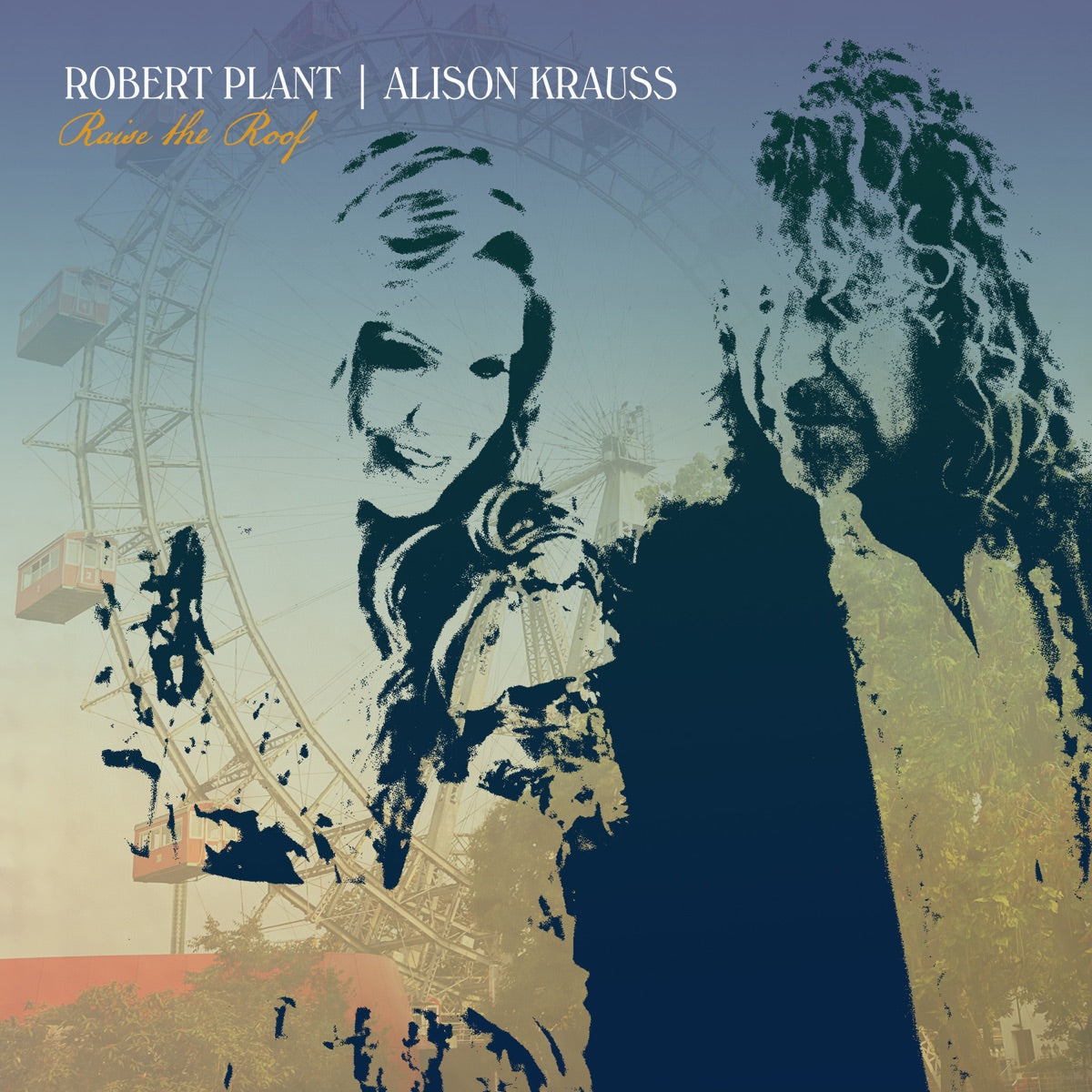 Robert Plant & Alison Krauss — Raise the Roof, vinyl LP album cover