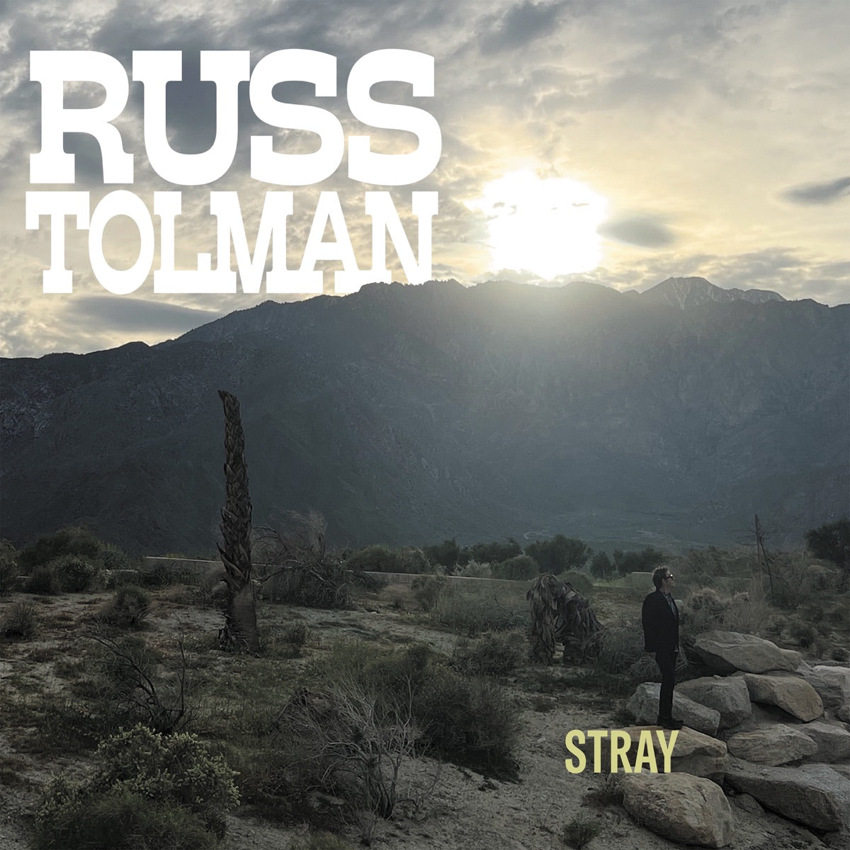 Russ Tolman — Stray, CD album cover
