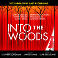 Sara Bareilles, Stephen Sondheim & ‘Into The Woods’ 2022 Broadway Cast — Into The Woods (2022 Broadway Cast Recording), vinyl LP album cover