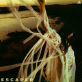 Sarah Kinsley — Escaper, vinyl LP album cover