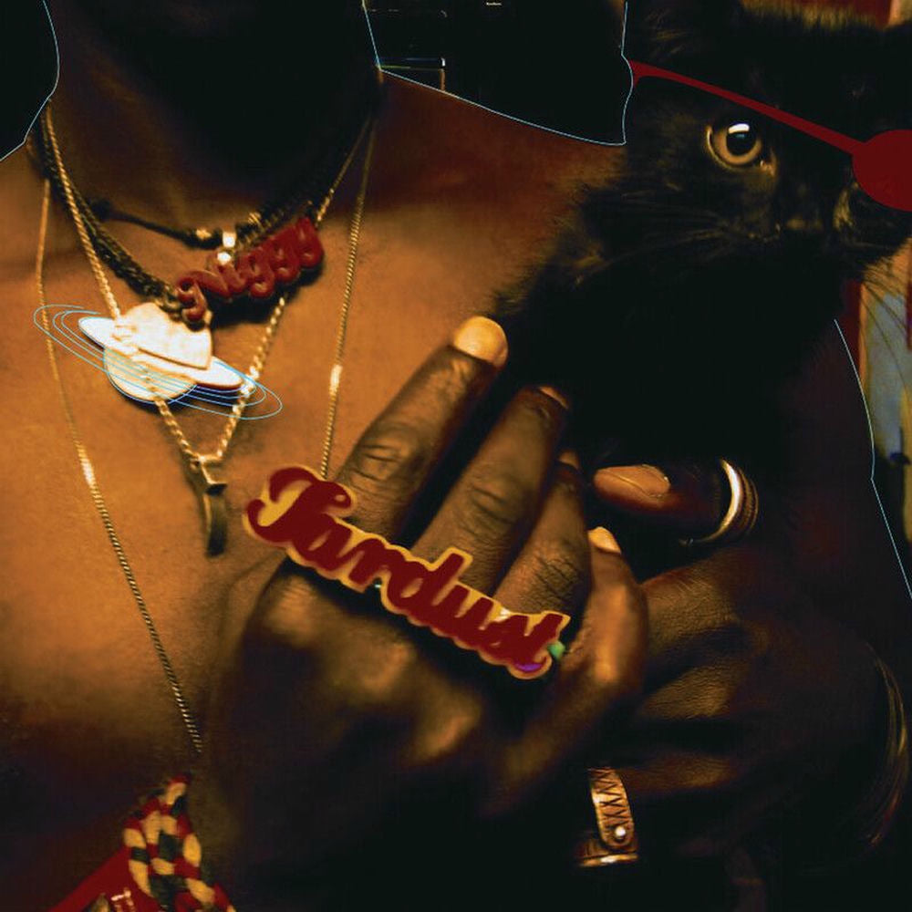 Saul Williams — The Inevitable Rise And Liberation Of Niggy Tardust, vinyl LP album cover