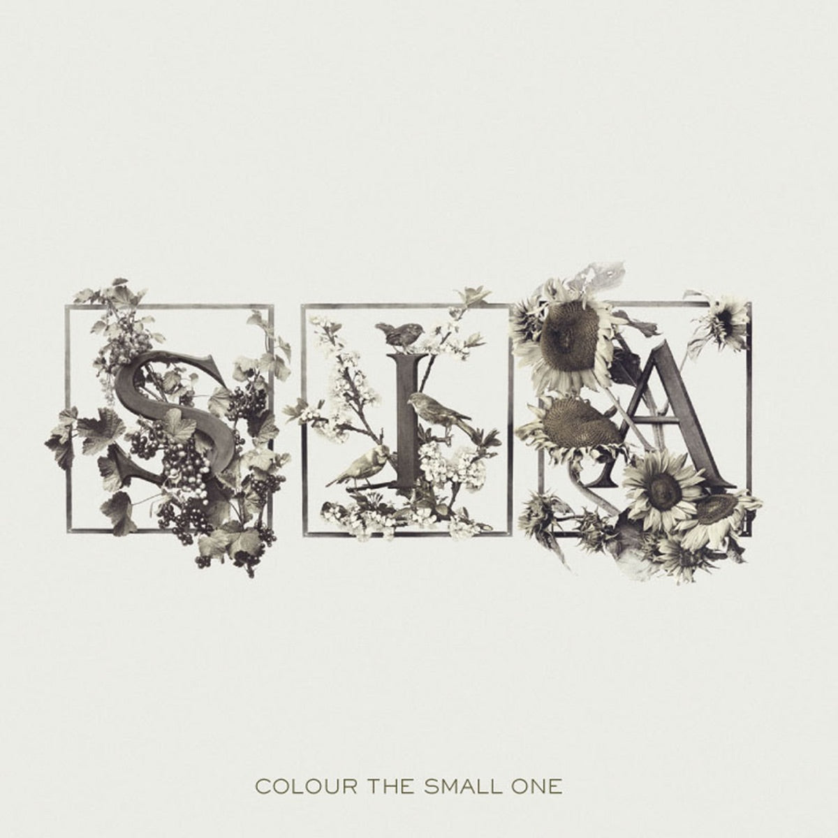 Sia — Colour the Small One (Bonus Track Version), vinyl LP album cover