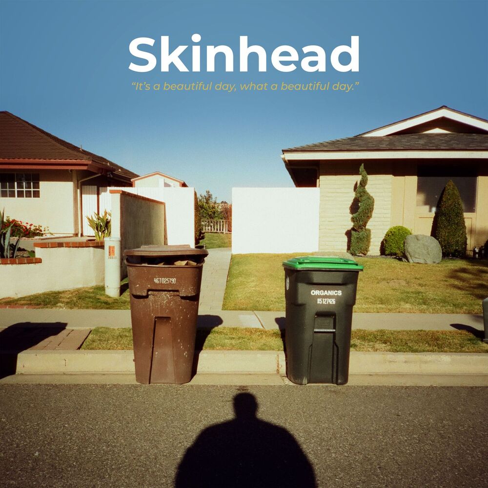 Skinhead — It's a Beautiful Day, What a Beautiful Day, vinyl LP album cover