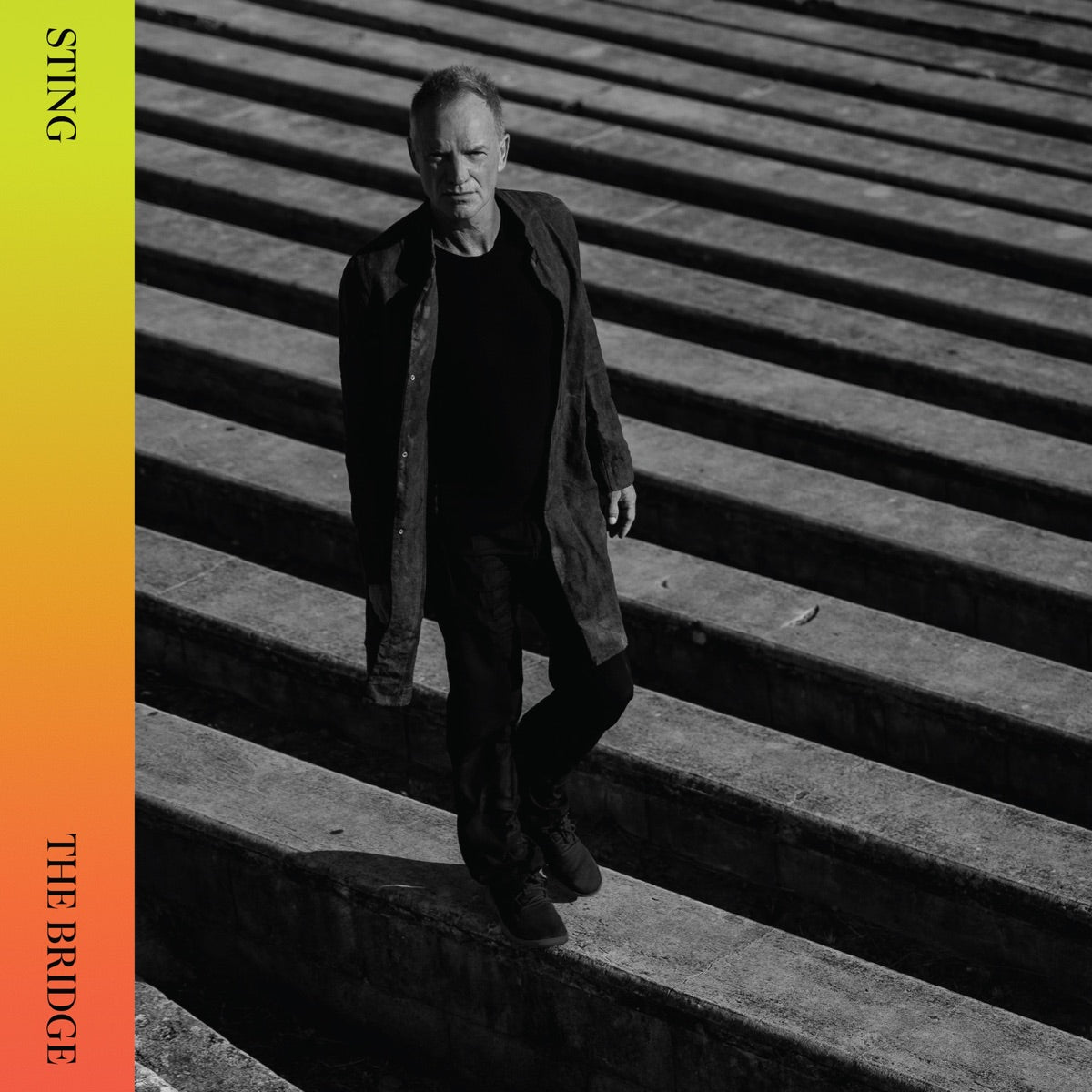 Sting — The Bridge (Deluxe), vinyl LP album cover