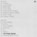 Sylvan Esso — No Rules Sandy, vinyl LP album cover