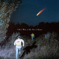 The Callous Daoboys — I Don’t Want to See You in Heaven, vinyl LP album cover