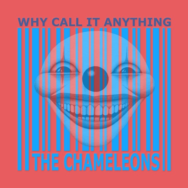 The Chameleons — Why Call It Anything, vinyl LP album cover