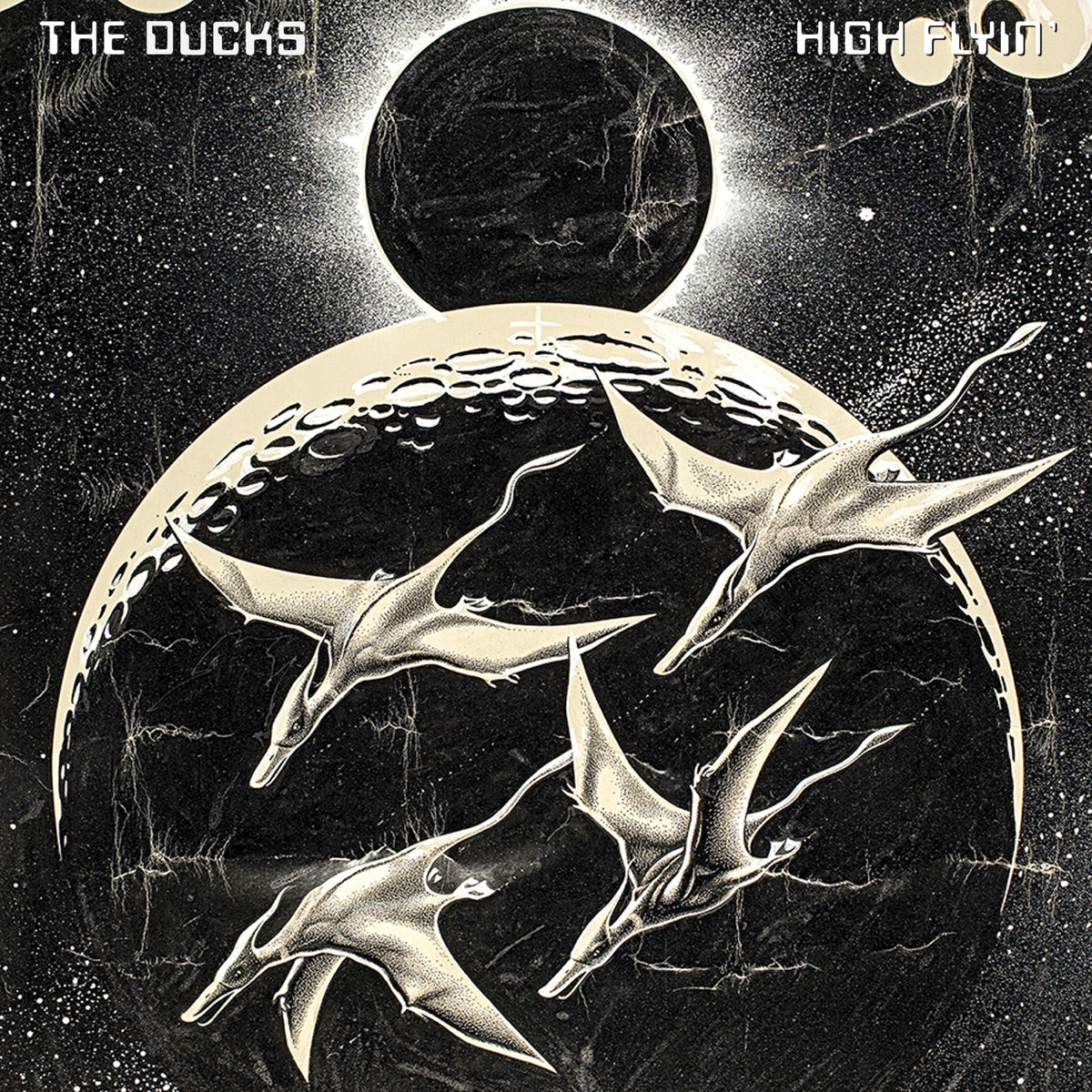 The Ducks — High Flyin' (Live), vinyl LP album cover