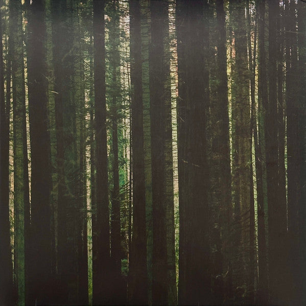 The Paper Kites — Evergreen, vinyl LP album cover