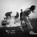 The Scratch — Pull Like a Dog, vinyl LP album cover
