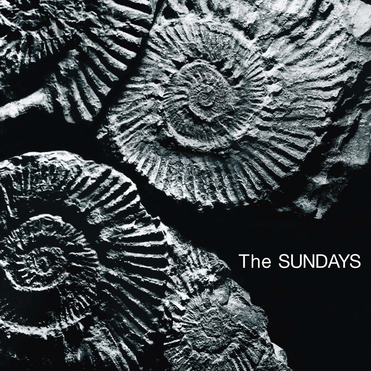 The Sundays — Reading, Writing And Arithmetic, vinyl LP album cover