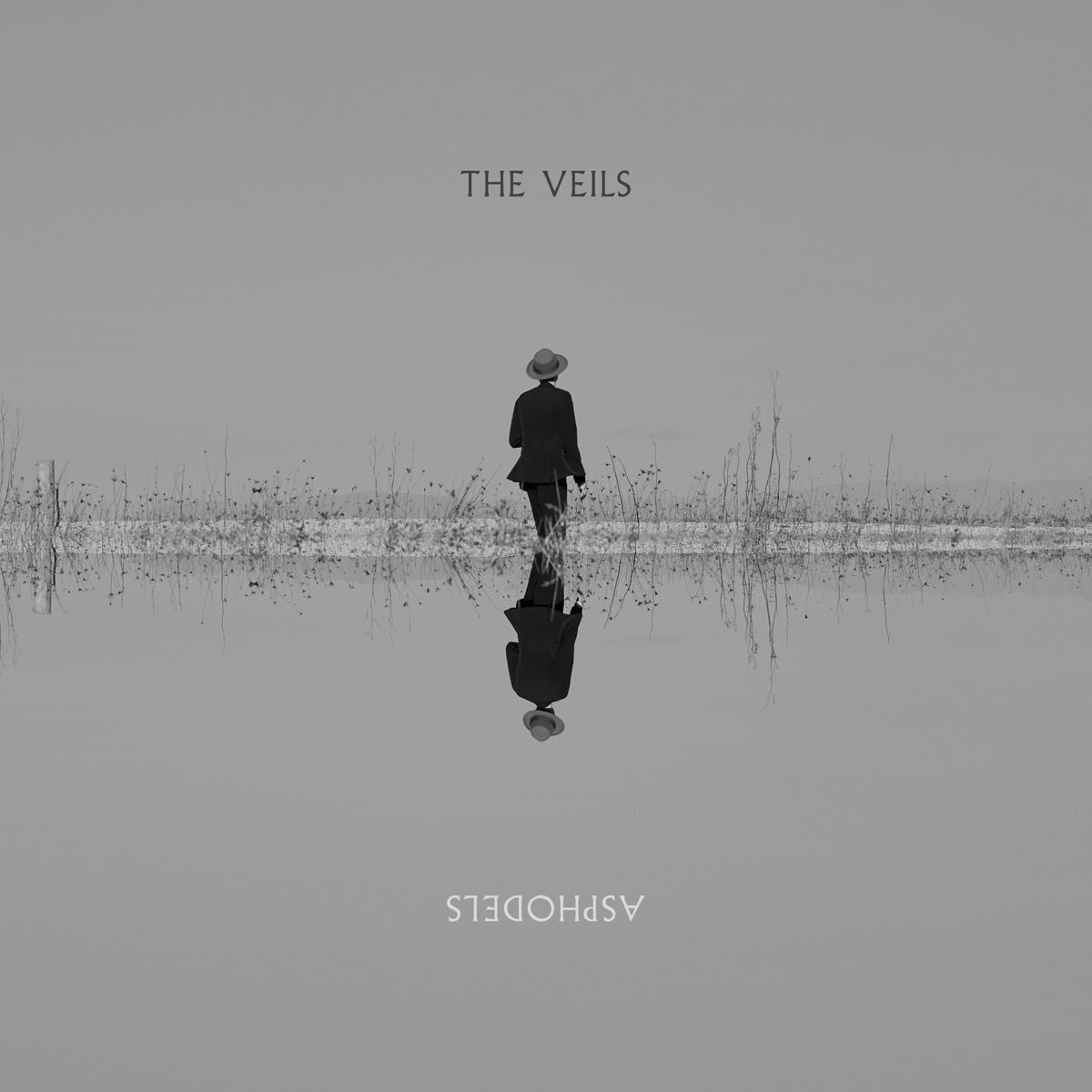 The Veils — Asphodels, vinyl LP album cover
