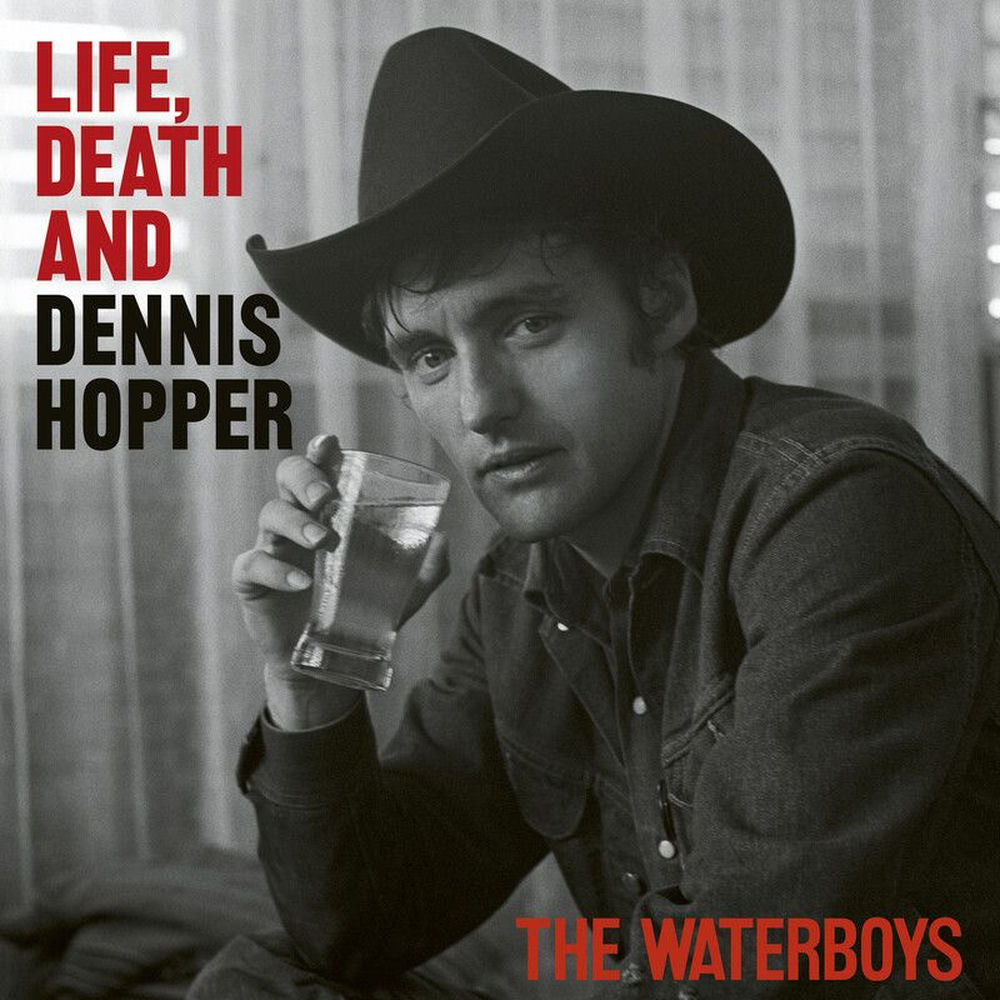 The Waterboys — Life, Death And Dennis Hopper, vinyl LP album cover