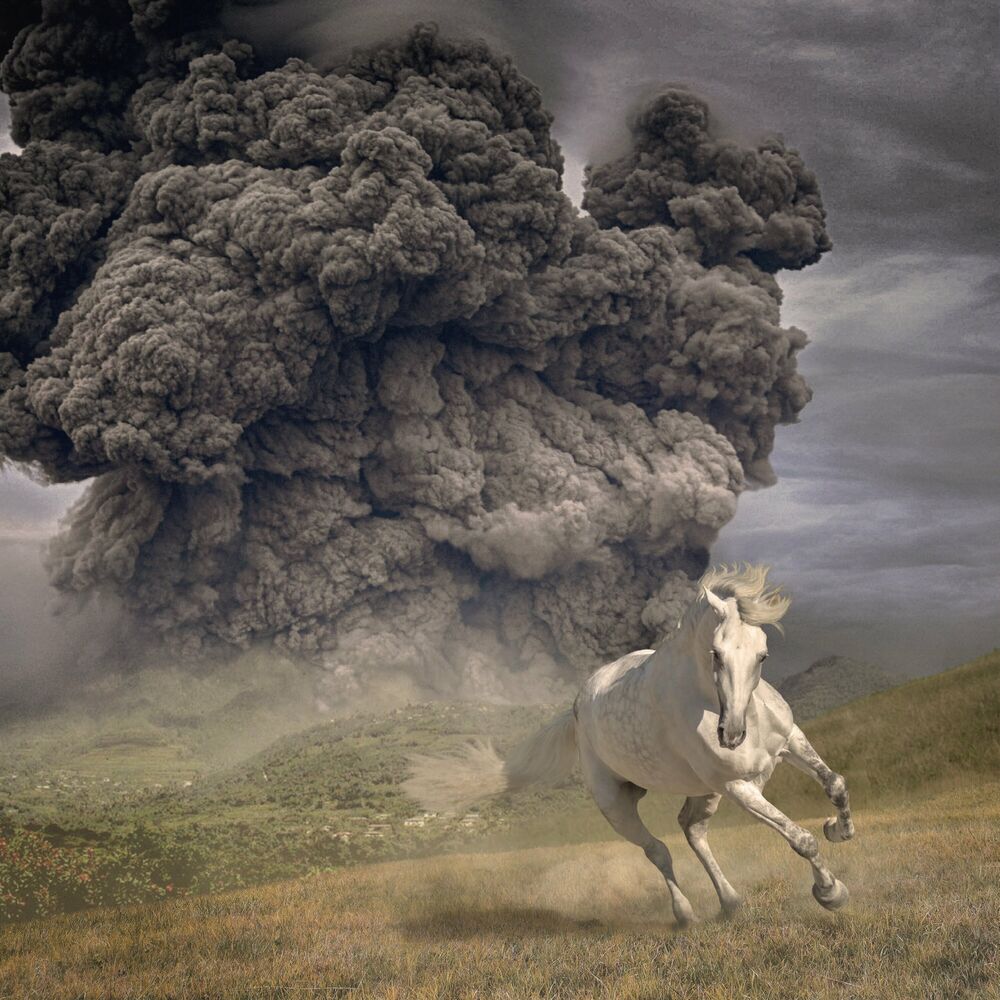 The White Buffalo — Year Of The Dark Horse, vinyl LP album cover