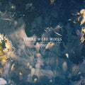 There Were Wires — Vessel, vinyl LP album cover