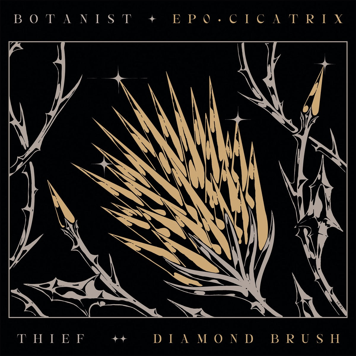 Thief & Botanist — Cicatrix / Diamond Brush, vinyl LP album cover