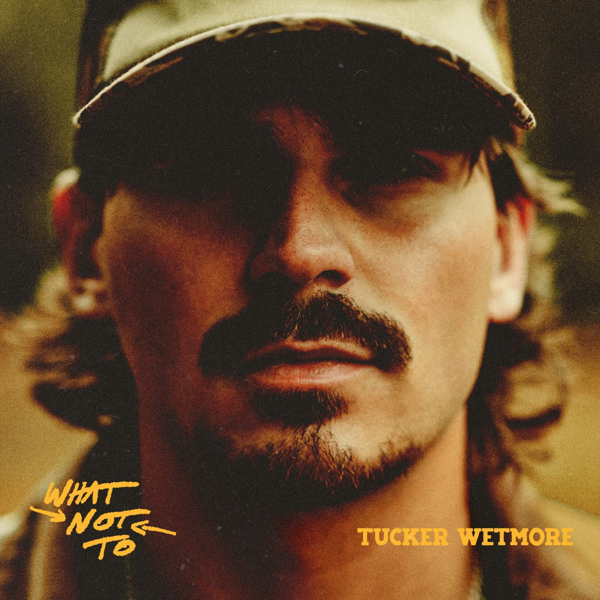 Tucker Wetmore — What Not To, vinyl LP album cover