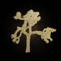 U2 — The Joshua Tree (30th Anniversary Super Deluxe Edition), CD album cover