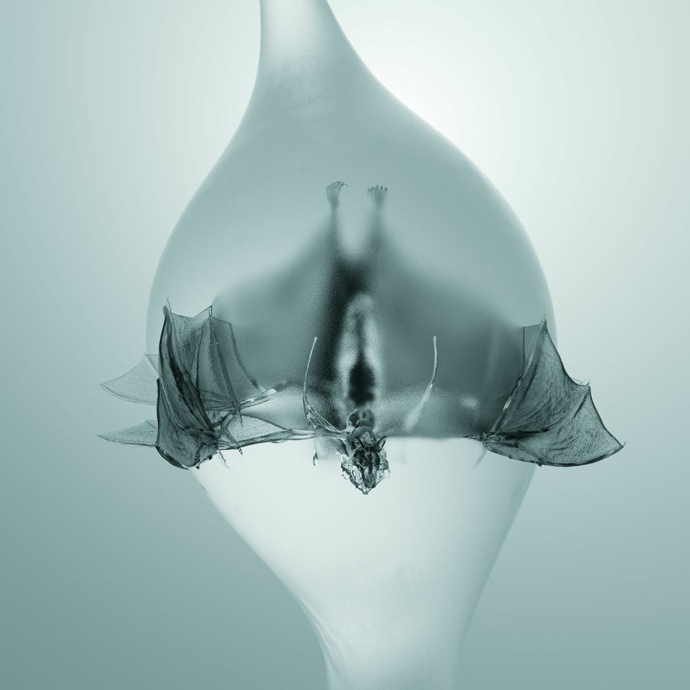Unprocessed — Angel, vinyl LP album cover