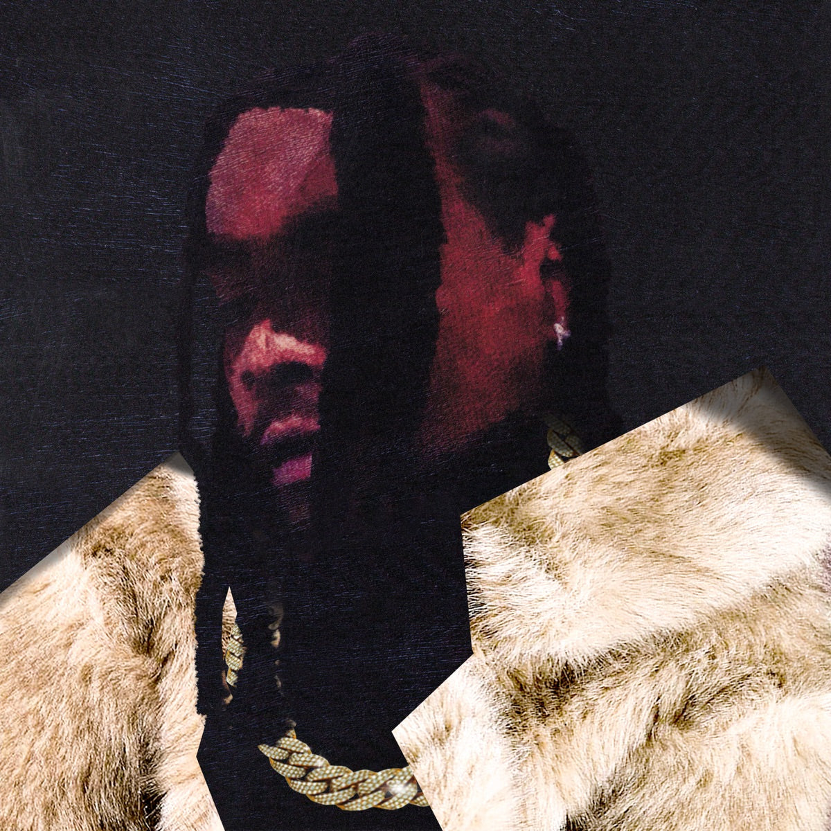 Wale — everything is a lot., vinyl LP album cover