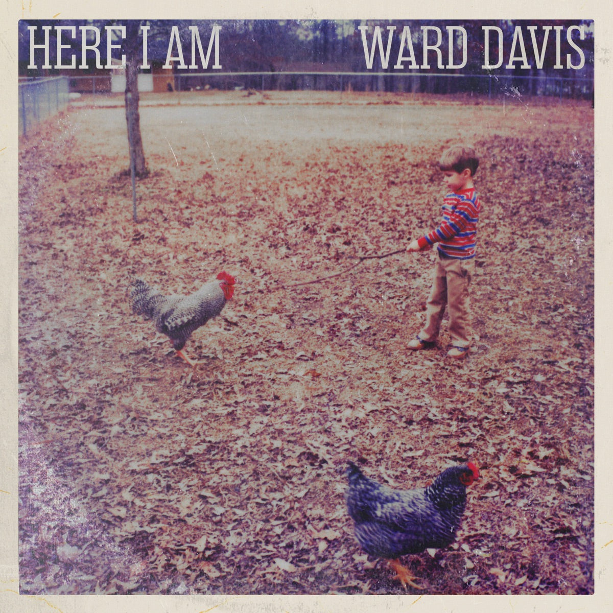 Ward Davis — Here I Am, vinyl LP album cover