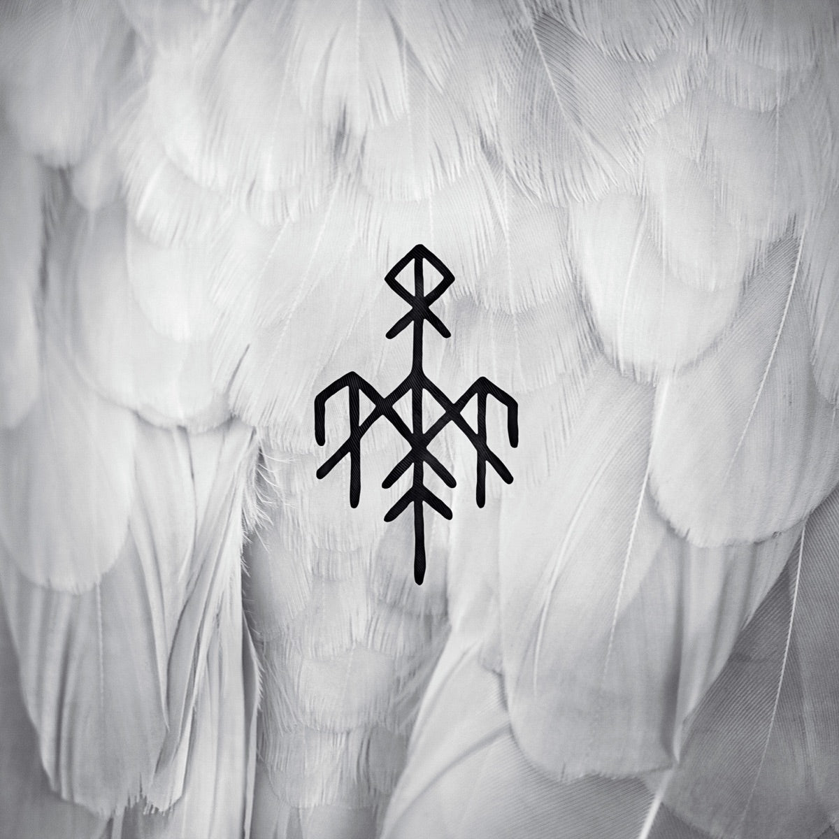 Wardruna — Kvitravn - First Flight of the White Raven, vinyl LP album cover