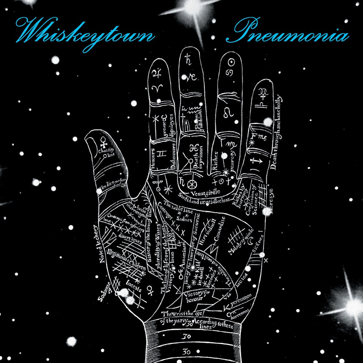Whiskeytown — Pneumonia, vinyl LP album cover