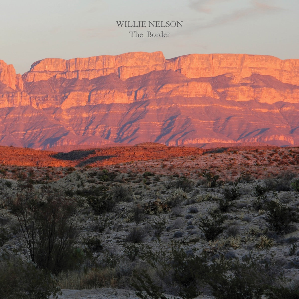 Willie Nelson — The Border, vinyl LP album cover