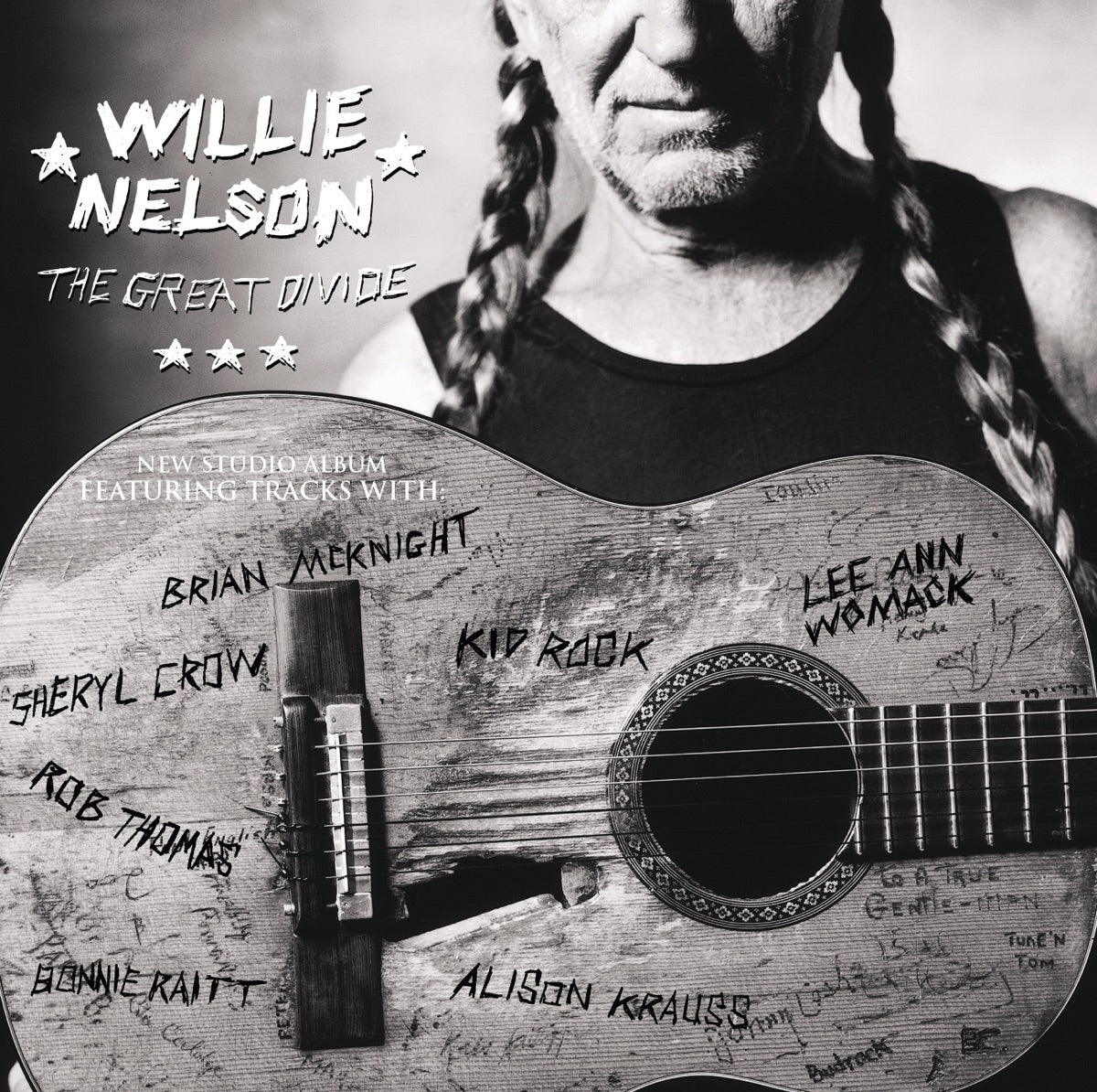 Willie Nelson — The Great Divide, vinyl LP album cover