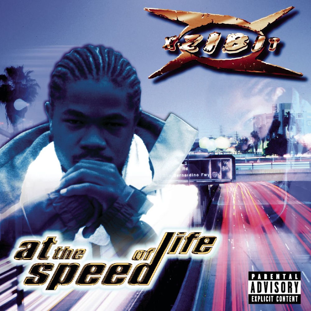 Xzibit — At The Speed Of Life, vinyl LP album cover