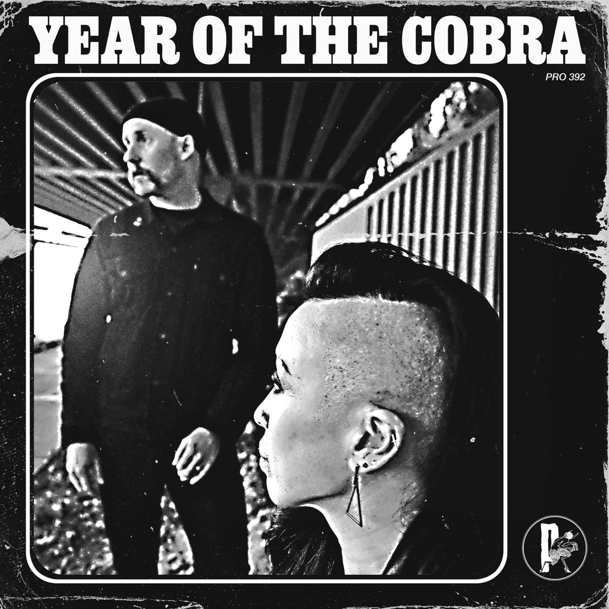Year Of The Cobra — Year Of The Cobra, vinyl LP album cover