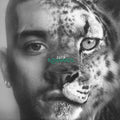 ZAYN — KONNAKOL, vinyl LP album cover