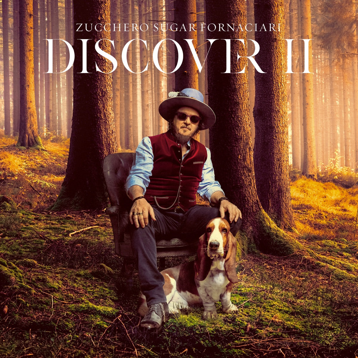 Zucchero — DISCOVER II, vinyl LP album cover